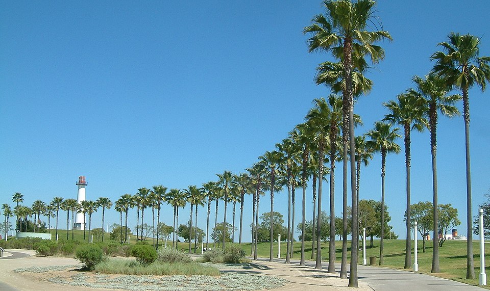 long beach 03